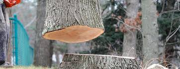 Best Firewood Processing and Delivery  in Sunflower, MS